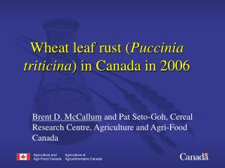 Wheat leaf rust ( Puccinia triticina ) in Canada in 2006
