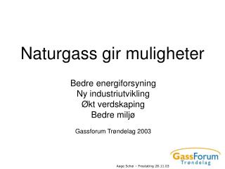 Naturgass gir muligheter