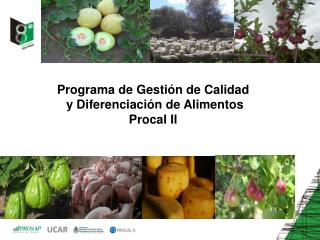 Programa de Gestión de Calidad y Diferenciación de Alimentos Procal II