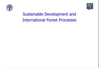 Sustainable Development and International Forest Processes