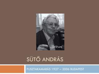 SÜTŐ ANDRÁS