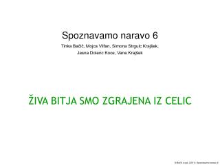 ŽIVA BITJA SMO ZGRAJENA IZ CELIC