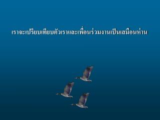 เราจะเปรียบเทียบตัวเราและเพื่อนร่วมงานเป็นเสมือนห่าน