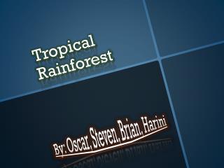 Tropical R ainforest