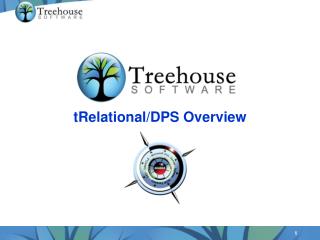 tRelational /DPS Overview