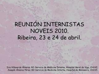 REUNIÓN INTERNISTAS NOVEIS 2010. Ribeira, 23 e 24 de abril.