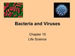 Bacteria and Viruses