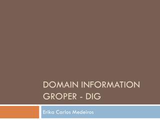 Domain Information Groper - DIG