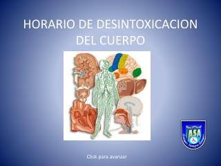 HORARIO DE DESINTOXICACION DEL CUERPO