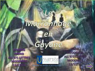 Le Marronnage en Guyane