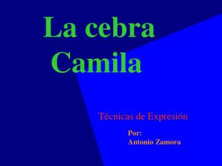 La cebra Camila