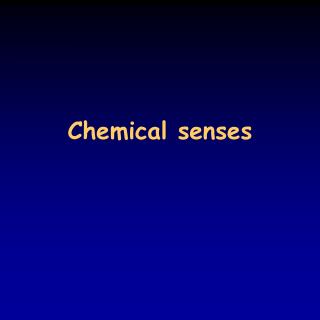 Chemical senses