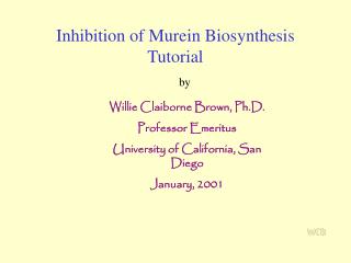 Inhibition of Murein Biosynthesis Tutorial