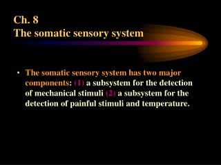 Ch. 8 The somatic sensory system