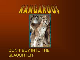 KANGAROOS