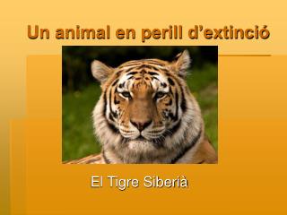 Un animal en perill d’extinció