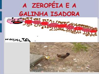 A ZEROPÉIA E A GALINHA ISADORA