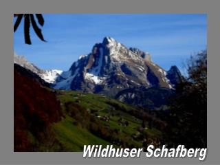 Wildhuser Schafberg