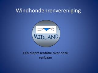 Windhondenrenvereniging