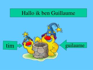 Hallo ik ben Guillaume