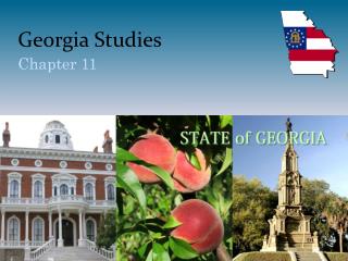 Georgia Studies