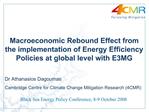 Macroeconomic Rebound Effect from the implementation of Energy Efficiency Policies at global level with E3MG