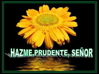 HAZME.PRUDENTE, SEÑOR