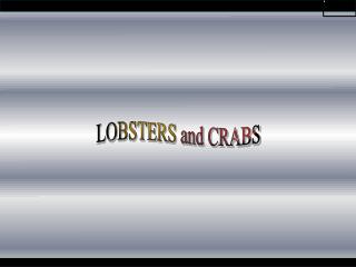 LOBSTERS and CRABS