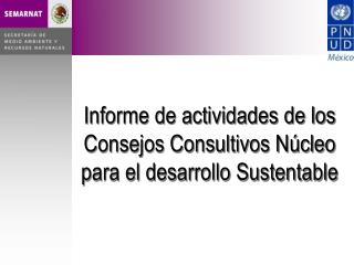 Informe de actividades de los Consejos Consultivos Núcleo para el desarrollo Sustentable