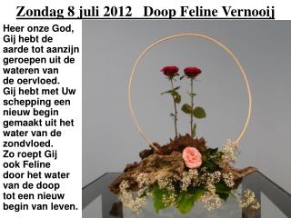 Zondag 8 juli 2012 Doop Feline Vernooij