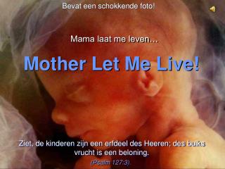 The Miracle Of Life!!