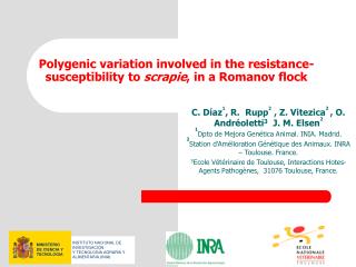 Polygenic variation involved in the resistance-susceptibility to scrapie , in a Romanov flock