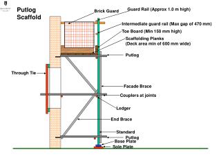 Putlog Scaffold