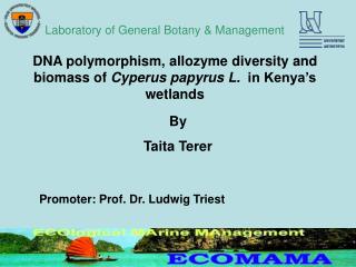 DNA polymorphism, allozyme diversity and biomass of Cyperus papyrus L. in Kenya’s wetlands