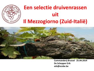 Een selectie druivenrassen uit Il Mezzogiorno ( Zuid-Italië )