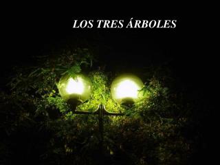 LOS TRES ÁRBOLES