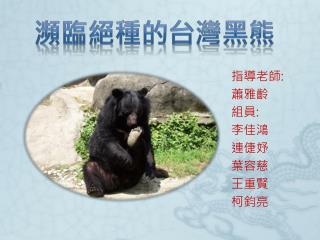 瀕臨絕種的台灣黑熊