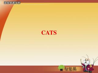 PPT - CATS PowerPoint Presentation, Free Download - ID:4972342