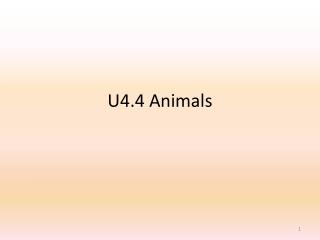 U4.4 Animals
