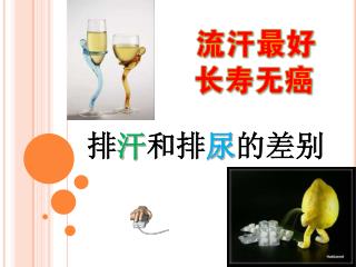 排 汗 和排 尿 的差别