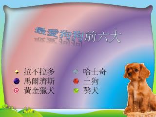 最愛狗狗 前六大