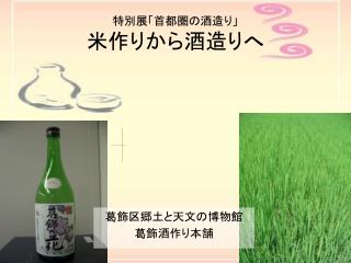 特別展「首都圏の酒造り」 米作りから酒造りへ