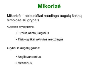 Mikorizė