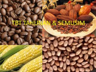 TBT TAHUNAN &amp; SEMUSIM