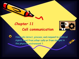 Chapter 11 Cell communication