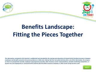 Benefits Landscape: Fitting the Pieces Together