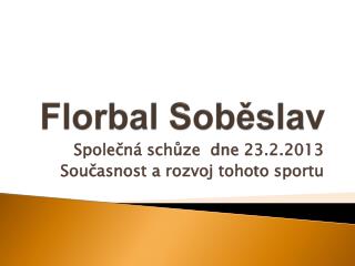 Florbal Soběslav