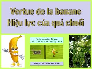 Vertue de la banane Hiệu lực của quả chuối