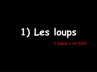 1) Les loups