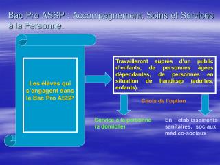 Bac Pro ASSP : Accompagnement, Soins et Services à la Personne.